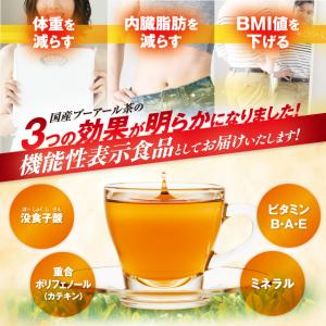 ダイエット茶 健康茶 プーアール茶 国産 プー...の詳細画像2