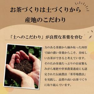 お茶 緑茶 水出し緑茶 お茶の葉 茶葉 深蒸し...の詳細画像5