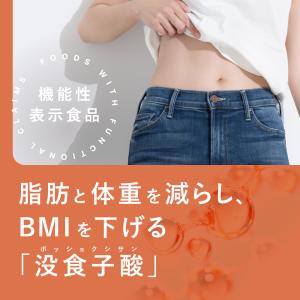 健康茶 プーアール茶 国産 プーアル茶 ティー...の詳細画像2