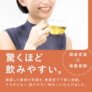 健康茶 プーアール茶 国産 プーアル茶 ティー...の詳細画像3