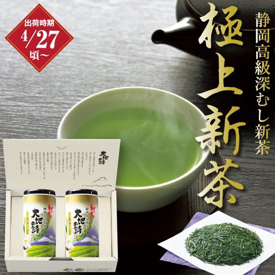 お茶 新茶 2024 緑茶 静岡茶 茶葉 深蒸し茶 ギフト カテキン 極上100g紙缶2本箱入 送料...