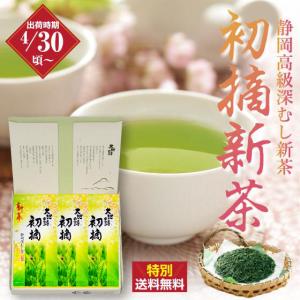 お茶 新茶 2024 緑茶 静岡茶 茶葉 深蒸し茶 ギフト カテキン 送料無料 初摘100g 3袋箱入 4/30頃より出荷予定｜arahata