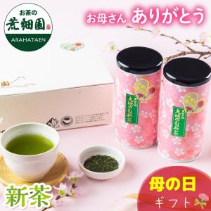 母の日 プレゼント 2023 ギフト お茶 緑茶 新茶 母の日2本箱入