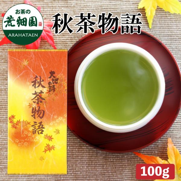 お茶 緑茶 茶葉 深蒸し茶 日本茶 お茶の葉 静岡茶 季節限定茶 秋茶物語 100g 爆買