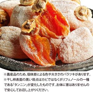 干し柿 柿 かき 伊那谷 市田柿 約200g ...の詳細画像3