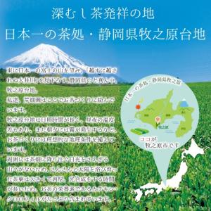 お茶 ほうじ茶 ティーバッグ 静岡茶 徳用 1...の詳細画像5