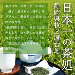 お茶 緑茶 茶葉 深蒸し茶 日本茶 お茶の葉 ...の詳細画像2