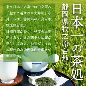お茶 緑茶 水出し緑茶 お茶の葉 茶葉 深蒸し...の詳細画像2
