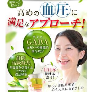 健康茶 ギャバ茶 GABA gaba茶 緑茶 ...の詳細画像2