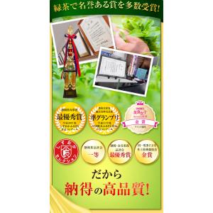 健康茶 ギャバ茶 GABA gaba茶 緑茶 ...の詳細画像3