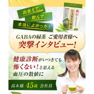 健康茶 ギャバ茶 GABA gaba茶 緑茶 ...の詳細画像4