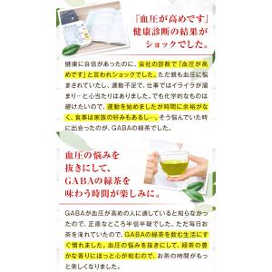 健康茶 ギャバ茶 GABA gaba茶 緑茶 ...の詳細画像5