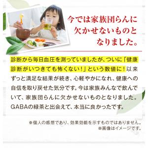 健康茶 ギャバ茶 GABA gaba茶 緑茶 ...の詳細画像5
