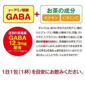 健康茶 ギャバ茶 GABA gaba茶 ほうじ...の詳細画像2