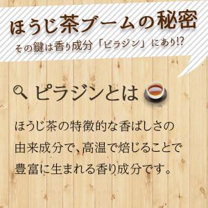 お茶 ほうじ茶 茶葉 お茶の葉 深蒸し茶 日本...の詳細画像5