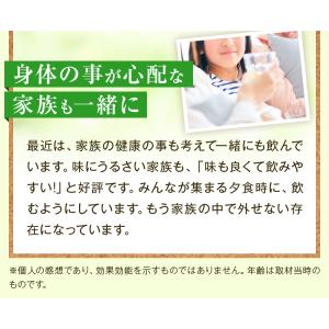 ダイエット茶 健康茶 お茶 緑茶 ダイエット茶...の詳細画像4
