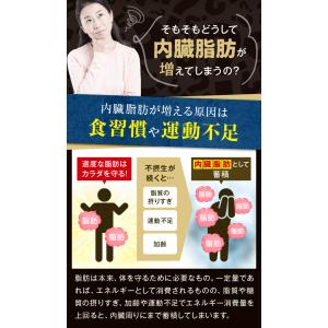 ダイエット茶 健康茶 お茶 緑茶 ダイエット茶...の詳細画像5