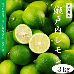 国産レモン　瀬戸内レモン　3kg　愛媛県産　ノーワックス　防腐剤不使用