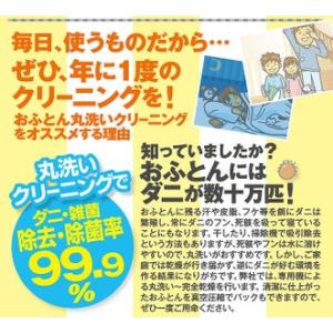 防ダニ加工 ダニ 雑菌 除去 安心 清潔 ふと...の詳細画像1