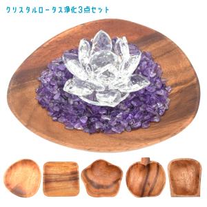 お買い得3枚セット】イケチョウ貝 パールシェル 天然真珠貝殻 浄化