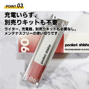 ポケットシーシャ pocket shisha ...の詳細画像4