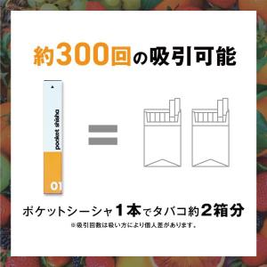 ポケットシーシャ pocket shisha ...の詳細画像5