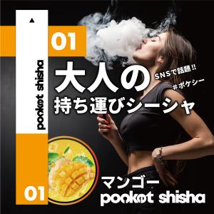 ポケットシーシャ pocket shisha ...の詳細画像1