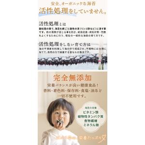 海苔 焼き海苔 訳あり 無酸処理 やさしい海苔...の詳細画像2