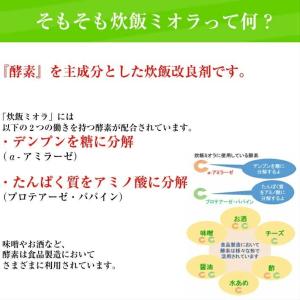 送料無料 炊飯 ミオラ1kg×2本 業務用 酵...の詳細画像5