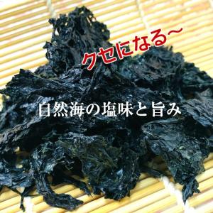 海苔 スナックのり子さん 焼きばらのり15g ...の詳細画像4