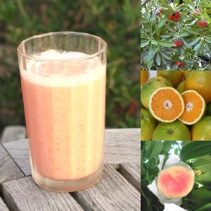 和歌山産「夏フルーツミックス,スムージー」農�