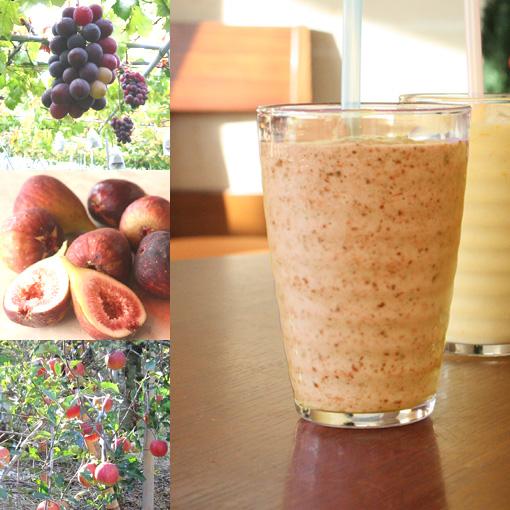 【冷凍便】和歌山産「秋フルーツミックス,スムージー」農家さんから直接分けてもらうくだもの（イチジク＋...