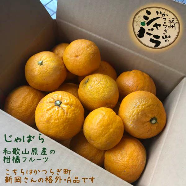 【送料込】和歌山産「ジャバラ果実」格外A級品 新岡農園の柑橘フルーツ「じゃばら」(不揃い/傷あり/ご...