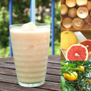 和歌山産 グレープフルーツスムージー 農家さんから直接分けてもらう希少国産グレープフルーツ みかんの花の蜂蜜 最安値 価格比較 Yahoo ショッピング 口コミ 評判からも探せる