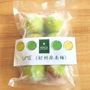 紀州南高梅200g梅酒 シロップに