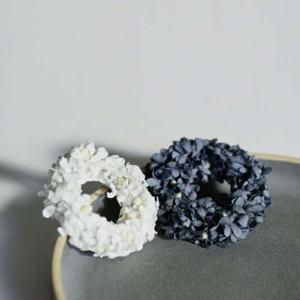 MIKIMOTO（ミキモト） 美品 6mmベビーパール 10粒 月桂樹 サークル