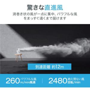 【2点購入で1点あたり4180円】サーキュレー...の詳細画像4