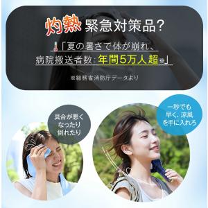 【2点購入で1点あたり1780円】ハンディファ...の詳細画像2