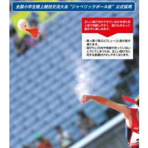 ニシ・スポーツ(NISHI)ジャベボール NT...の詳細画像2