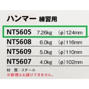 ニシ・スポーツ(NISHI) ハンマー 練習用...の詳細画像1