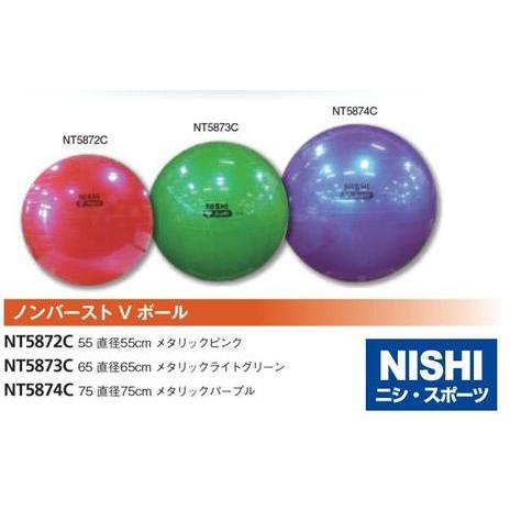 ニシ・スポーツ（NISHI） ノンバーストVボール 直径65cm NT5873C トレーニング バラ...