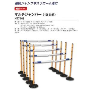 ニシ・スポーツ(NISHI) マルチジャンパー...の詳細画像1