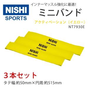 ニシ・スポーツ（NISHI） スピードバンド NT7427 陸上競技 スピード