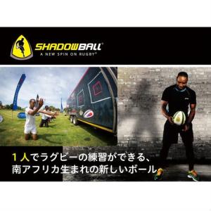 【50%OFF】シャドーボール 4号球 小学生...の詳細画像3