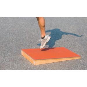 ニシ・スポーツ（NISHI）スロープボード T6905C 直送品2