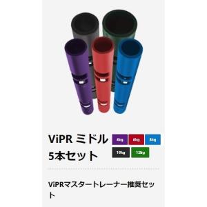 NISHI スピードバンド・スプリントチューブ・ウエイトベストのセットです。 ニシ・スポーツ（NISHI） スピードバンド NT7427 陸上競技 スピード