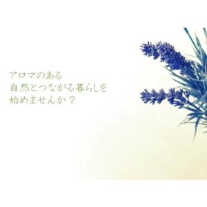 パーフェクトポーション アウトドアボディスプレ...の詳細画像4