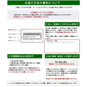 キャップ ピケットフェンス 柱上 フェンス ス...の詳細画像5