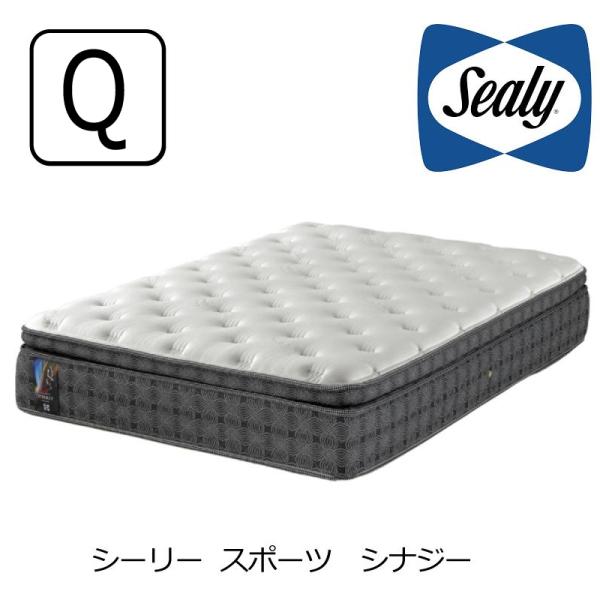 マットレス シーリーベッド シナジー クイーン