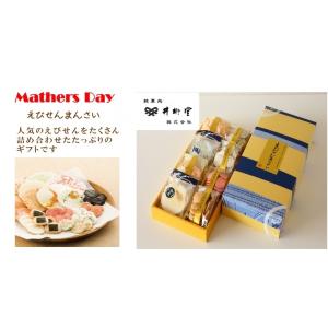 母の日限定商品 レインボーカーネーション「パス...の詳細画像1